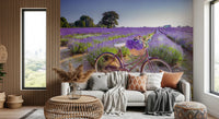 Bicycle in Lavender field Wall Mural