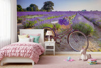Bicycle in Lavender field Wall Mural
