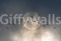 Soaring Souls Wall Mural -2228406