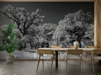 Neutral tone nature wall wallpaper
