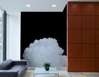 A graceful subtle cloud wall mural in monochromatic tones.

