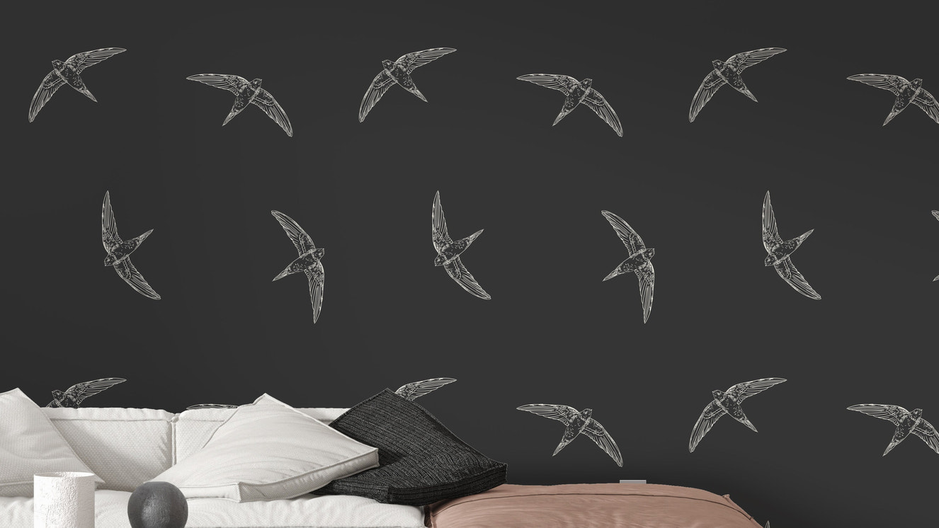 Black flying swallow bird wallpaper