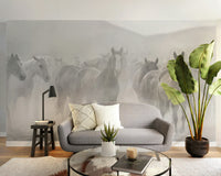 Black White Seven Horse Wallpaper Murals - Giffywalls