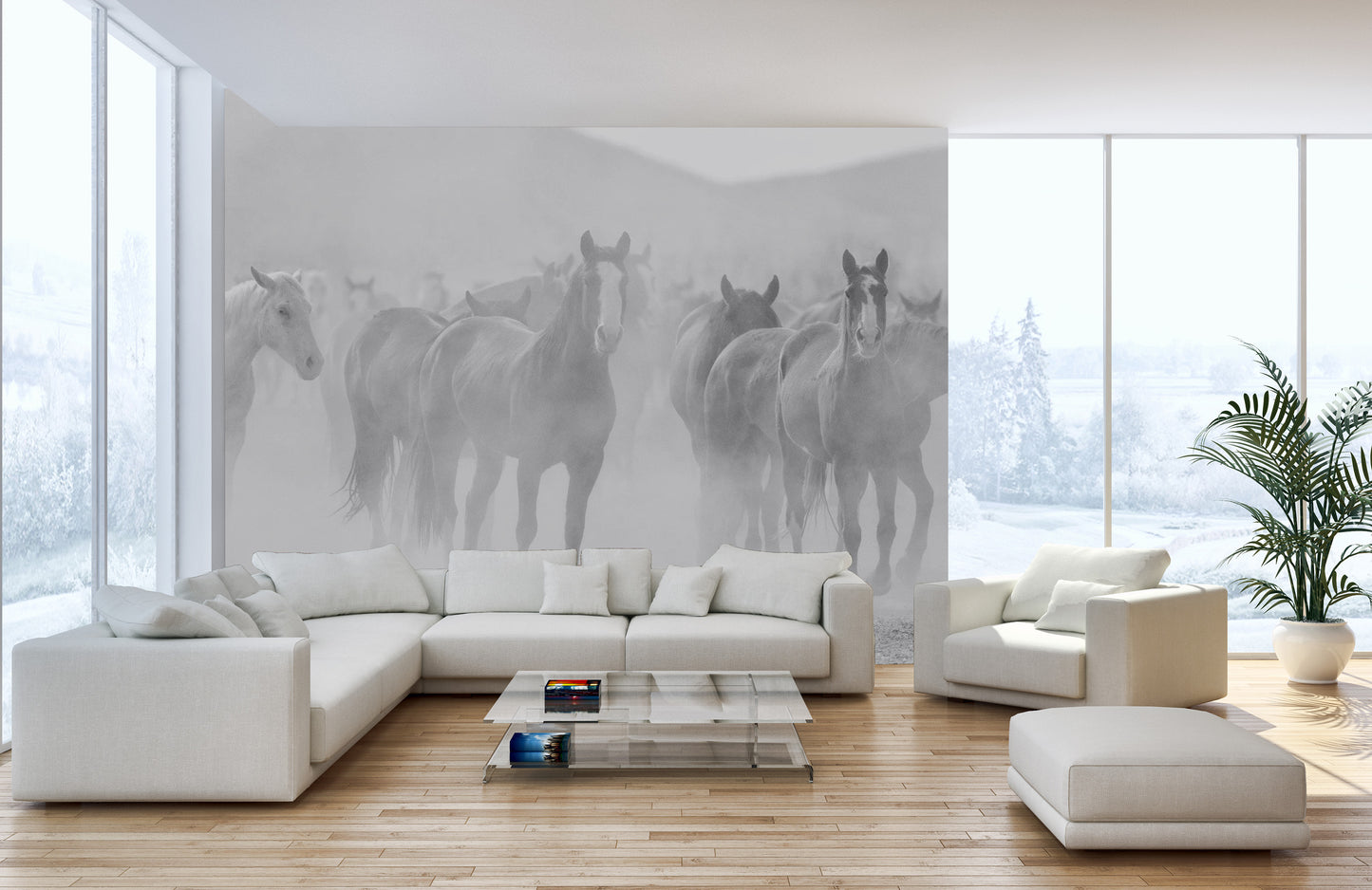 Graceful horse murals in grayscale for interiors
