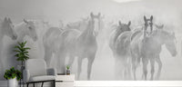 Seven majestic horses in black and white wallpaper
