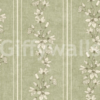 Bloom Stripes Floral Sage Green wallpaper shown full-wall with cream wildflower vines climbing over sage stripes