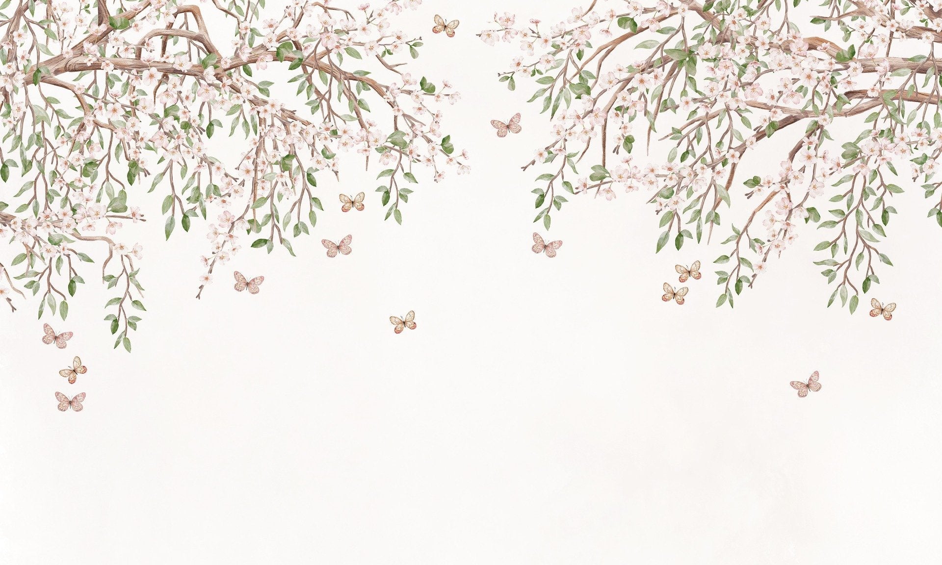 Blooming Blossom Light Pink Color Wallpaper