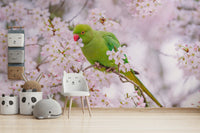 Blossom Bird beautiful wallpaper