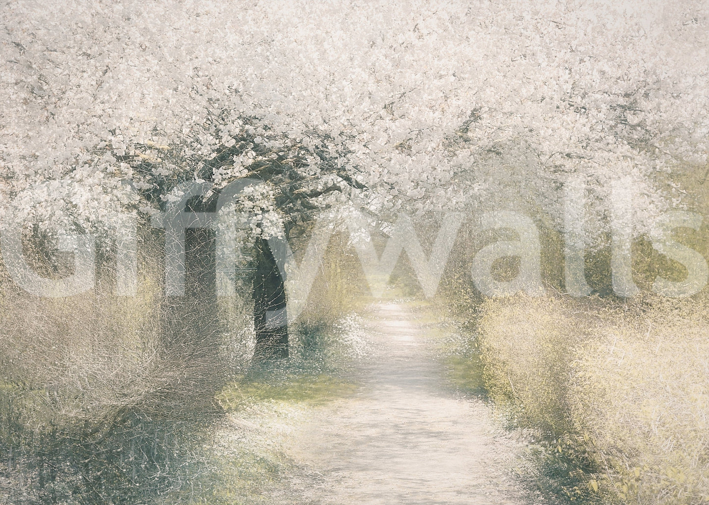 Blossom Trail Wall Mural - 2250089