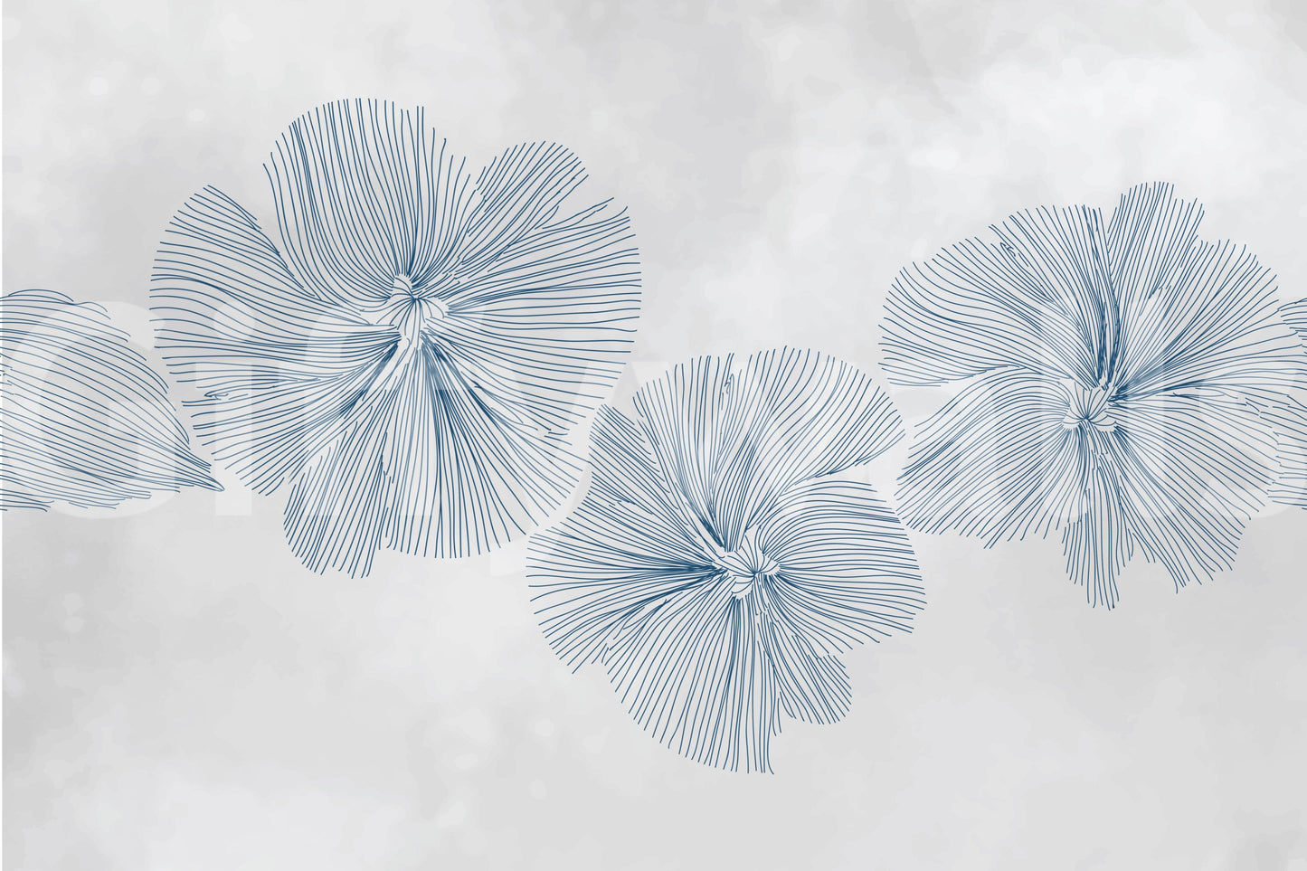 The style is a minimalist, linear illustration.

