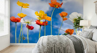 Poppy field wall mural against soft cloud sky