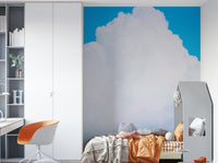 An artistic nature inspired mural for home decor.

