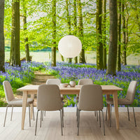 Amazing Bluebell Wonderland wallpaper woodland walk colorful scene