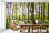 Wooded area Bluebell Woods premium wall mural lush green canopy