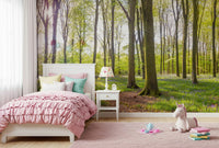 Panoramic wall mural Bluebell Woods serene spring blossom floor