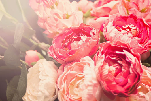 Blooming Pink Flowers Wall Mural