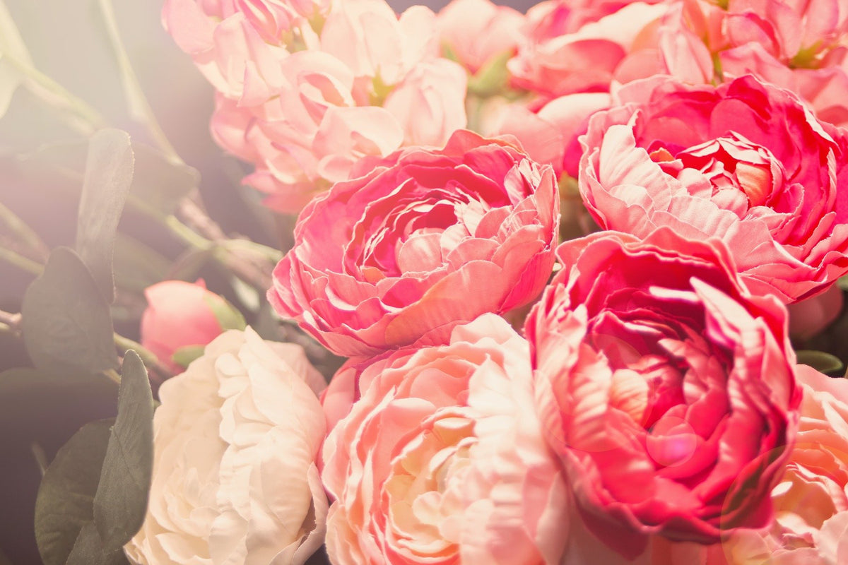 Blooming Pink Flowers Wall Mural in your room