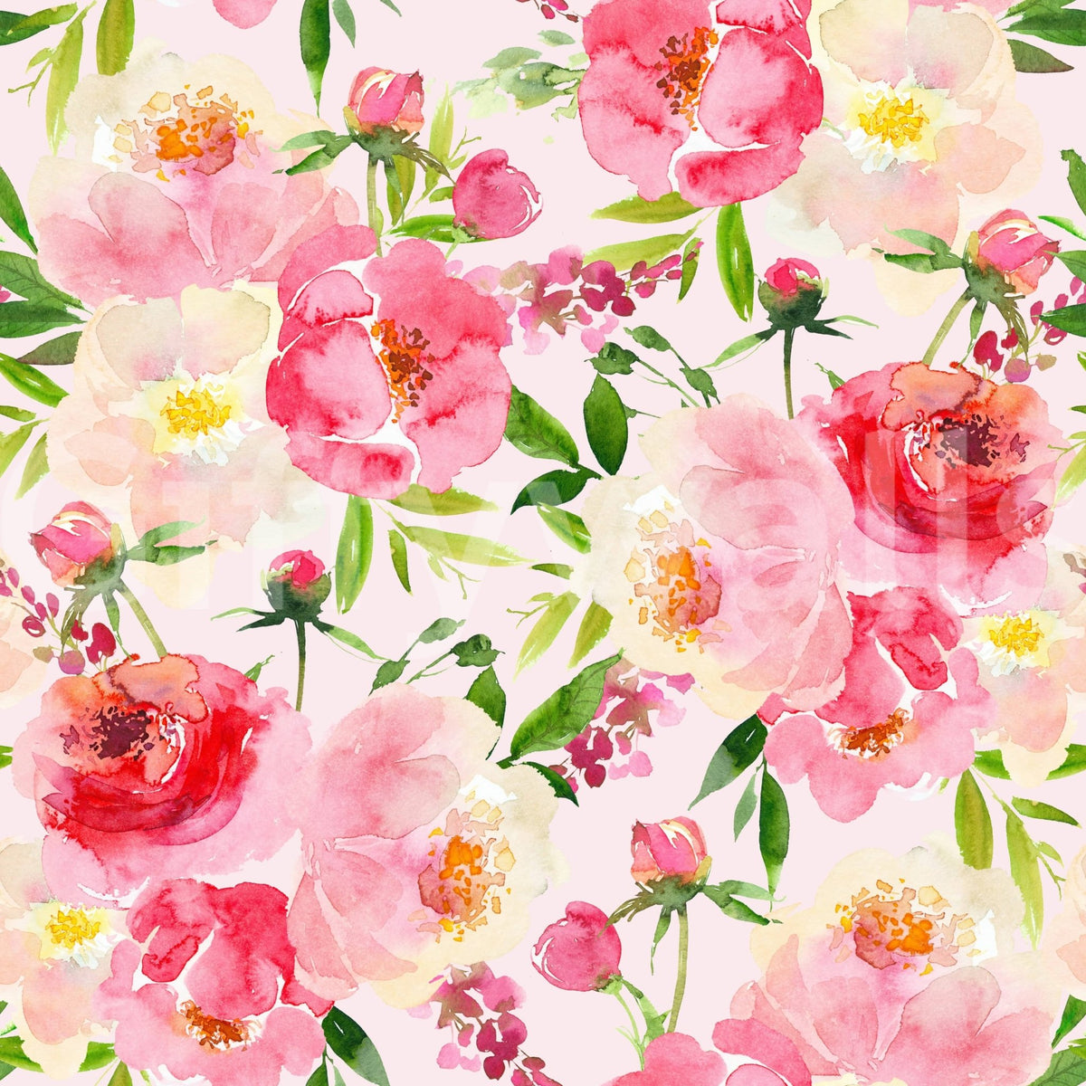Blush Bloom Watercolor wallpaper close-up showing the pink peony and rose pattern detail