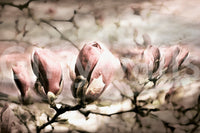 A calming floral design wallpaper mural that defines a space.

