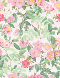Soft pink rose wallpaper with delicate details

