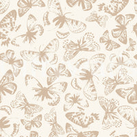 Boho chic butterflies wallpaper⁠

