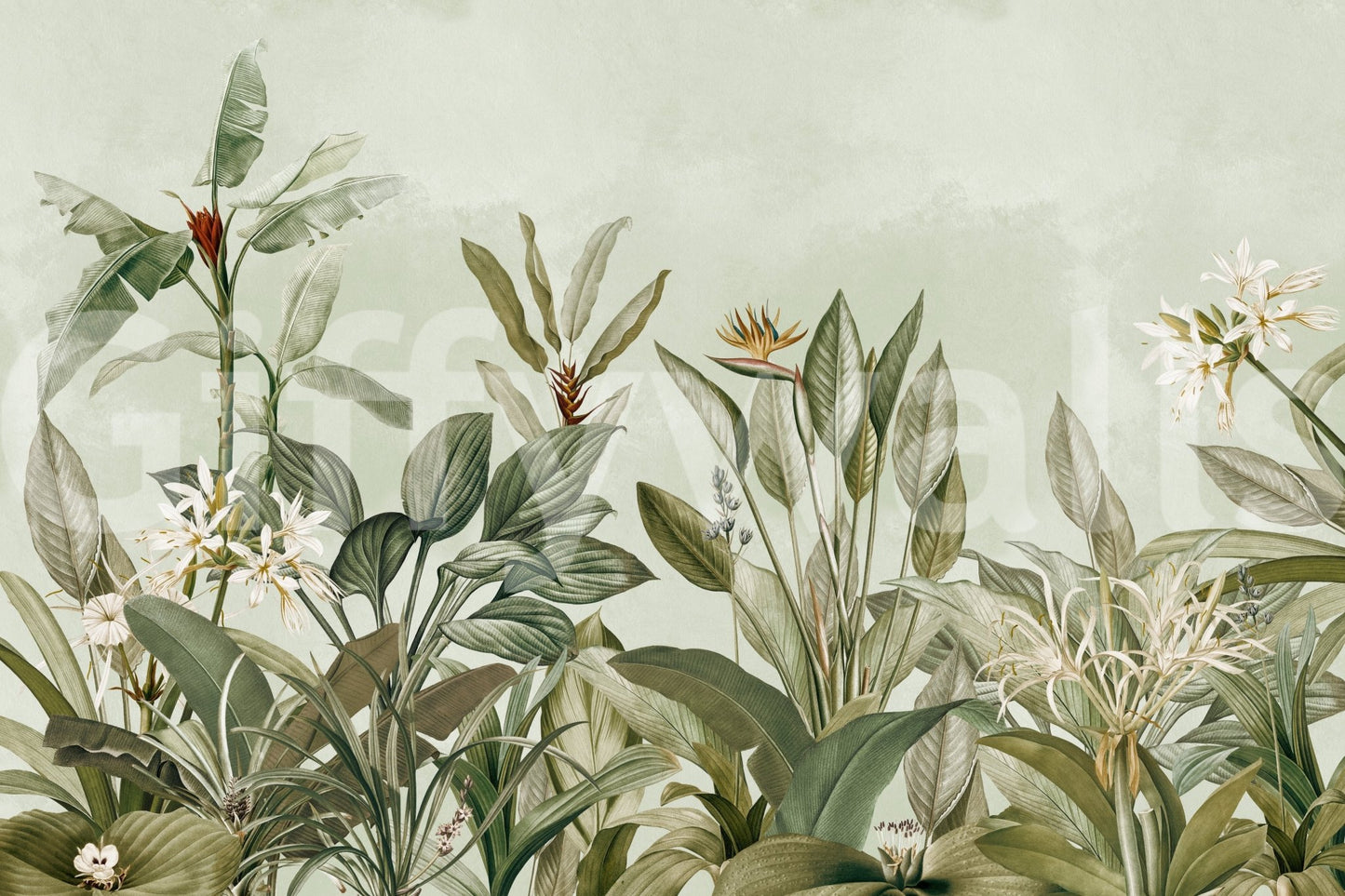 Focus on natural forms and gentle light.

