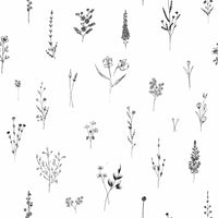 Clean and subtle floral artwork showcasing sketched blooms and foliage across a light background