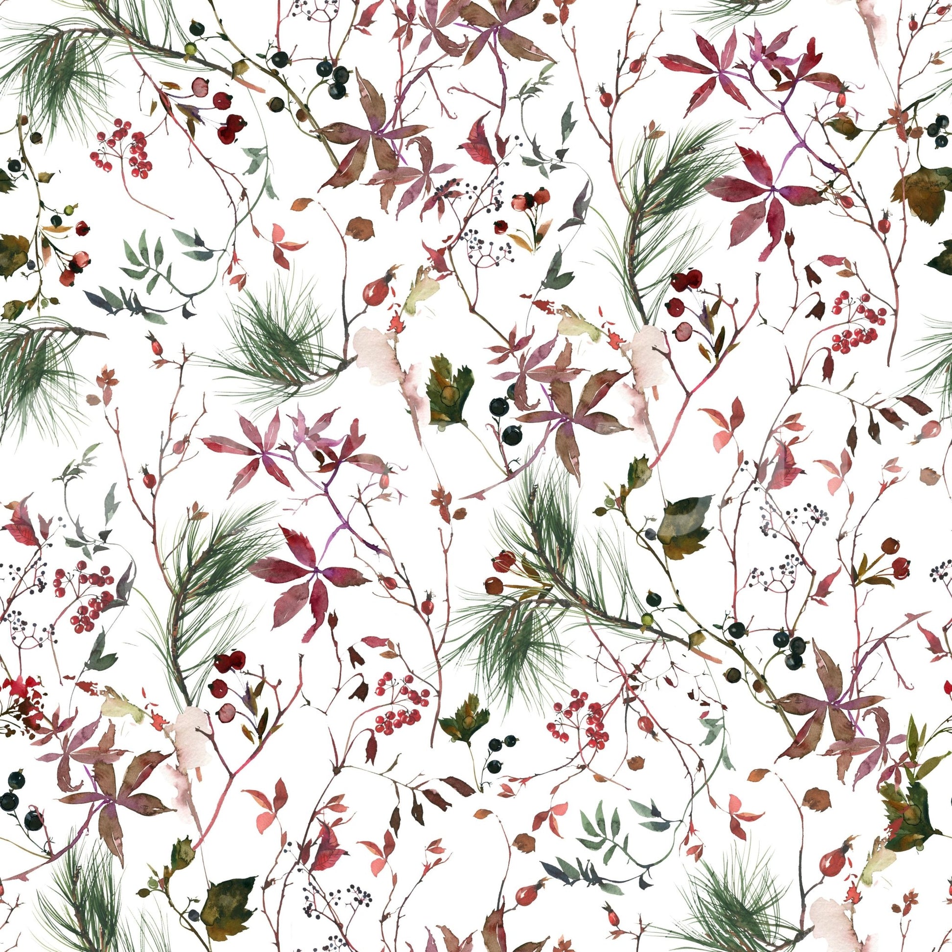 Botanical Winter wallpaper close-up showing burgundy leaves, berries and pine sprigs on a white background