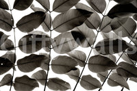 A high-quality serene tree wall mural for walls.

