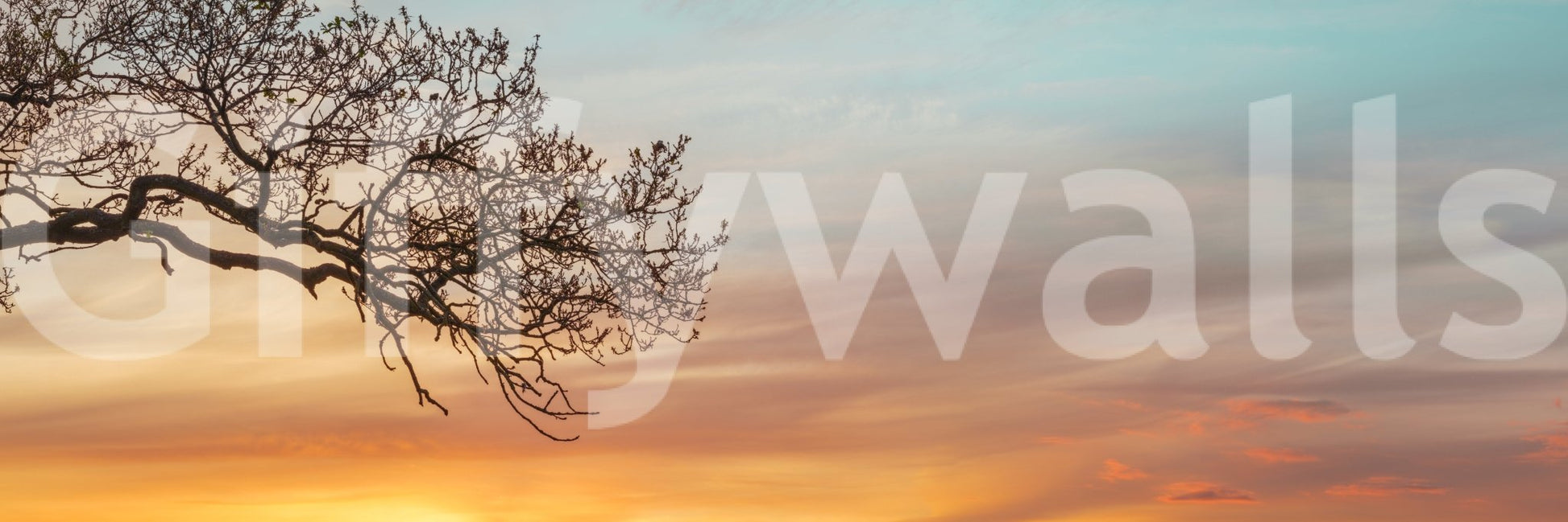 Gentle gradient sunset mural with nature theme

