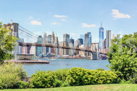 Bridge to Manhattan Wall Mural