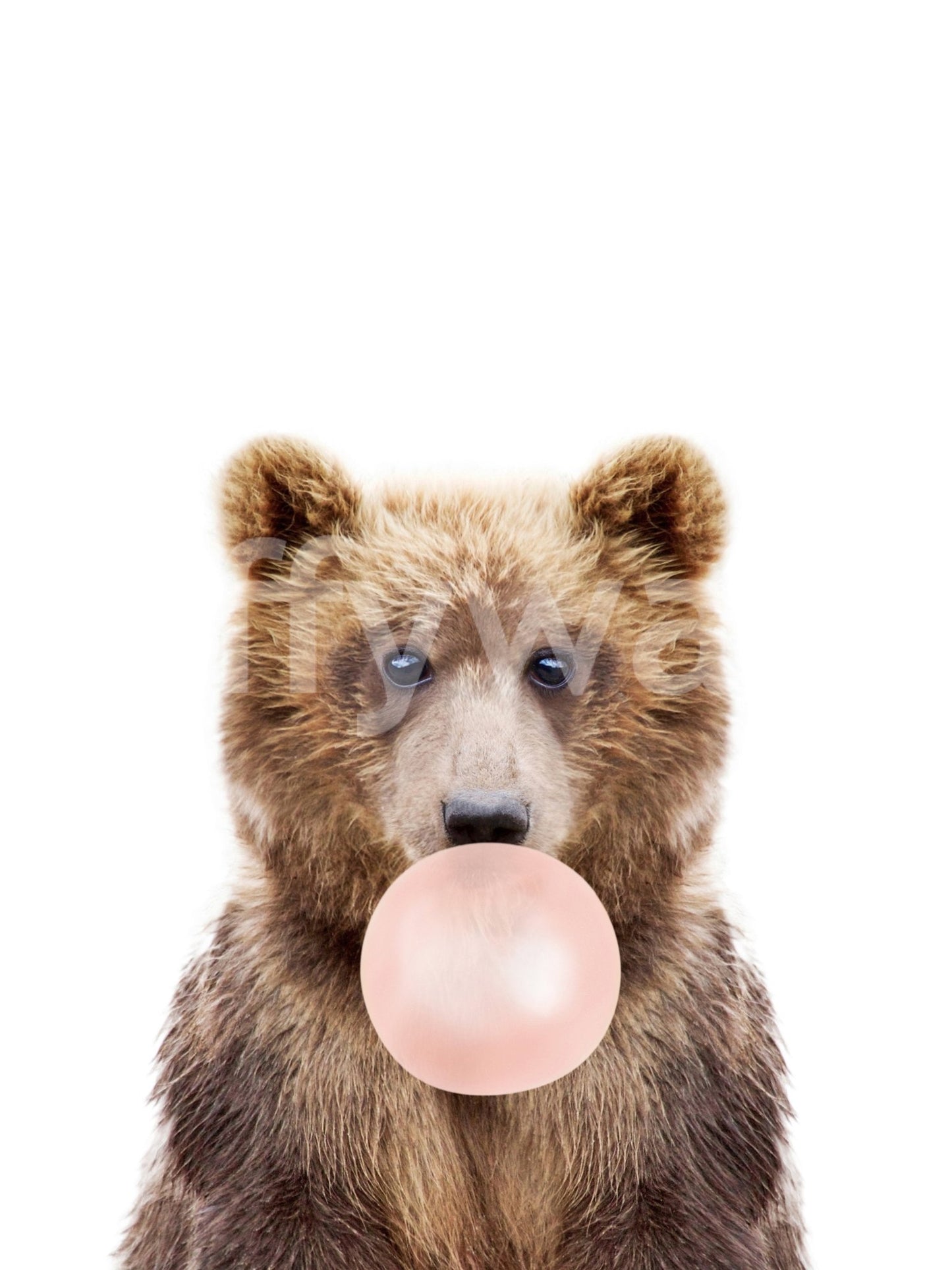 Colorful bear mural with pastel bubbles in the Bubble Gum Bear design.

