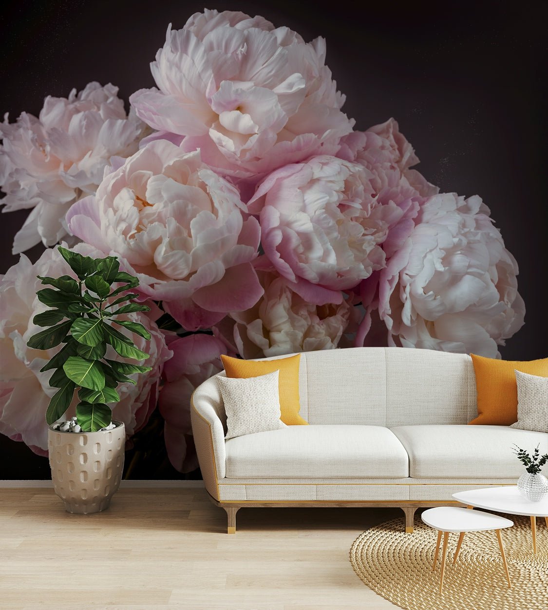 Soft, diffused lighting.

