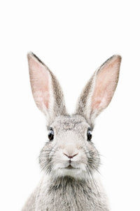 Bunny wall mural with soft colors and a playful, cheerful design.

