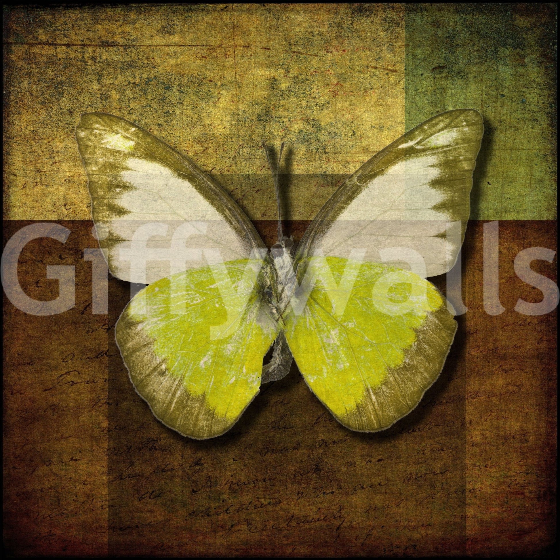 Captivating Butterfly Hues mural yellow and white wings textured paper.