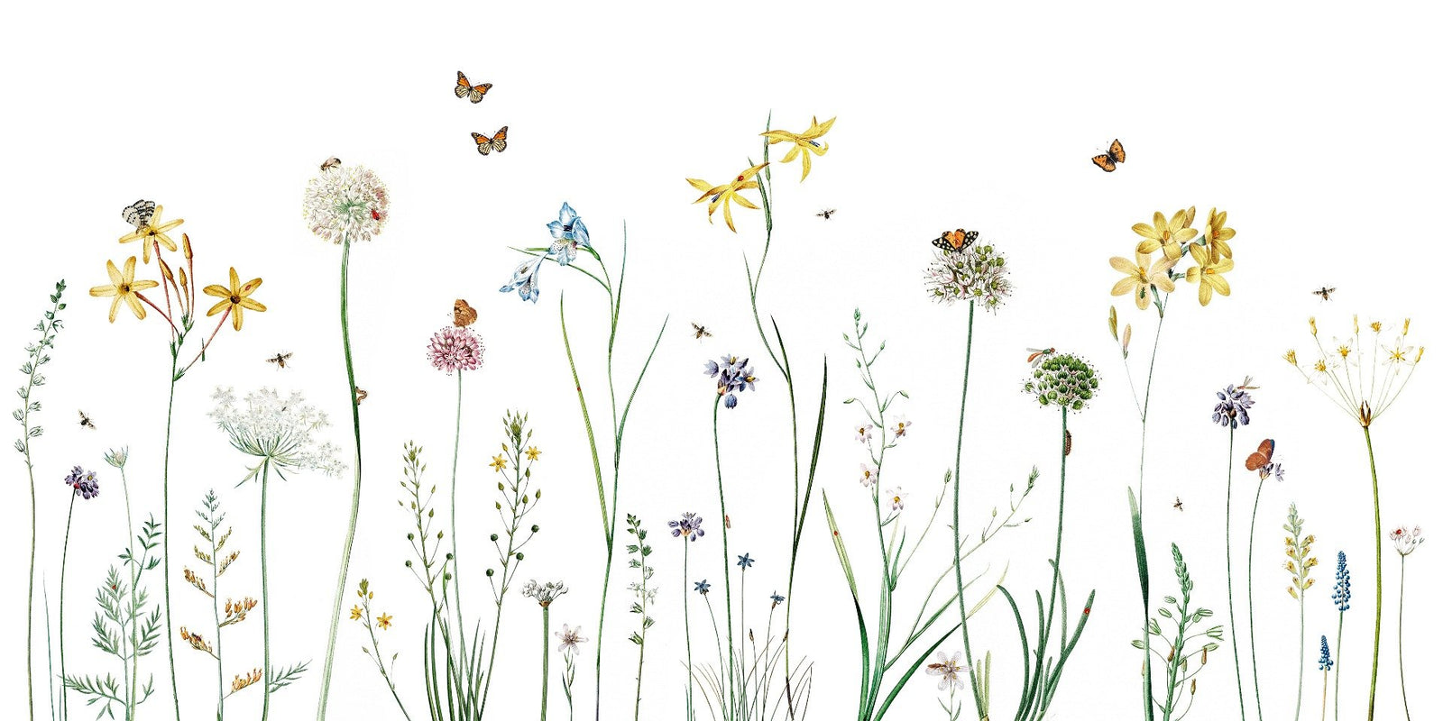 Butterfly Garden Wallpaper Murals
