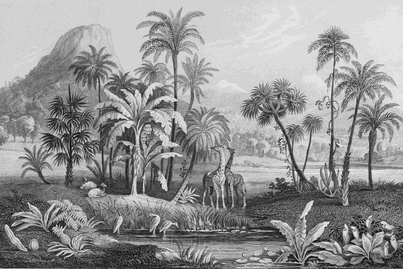 Monochrome Vintage Jungle Wall Mural