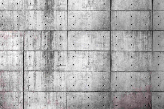 Raw Concrete Wall Mural