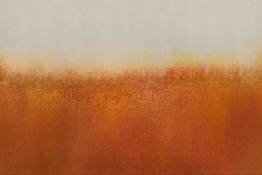 Rustic Orange Wall Mural