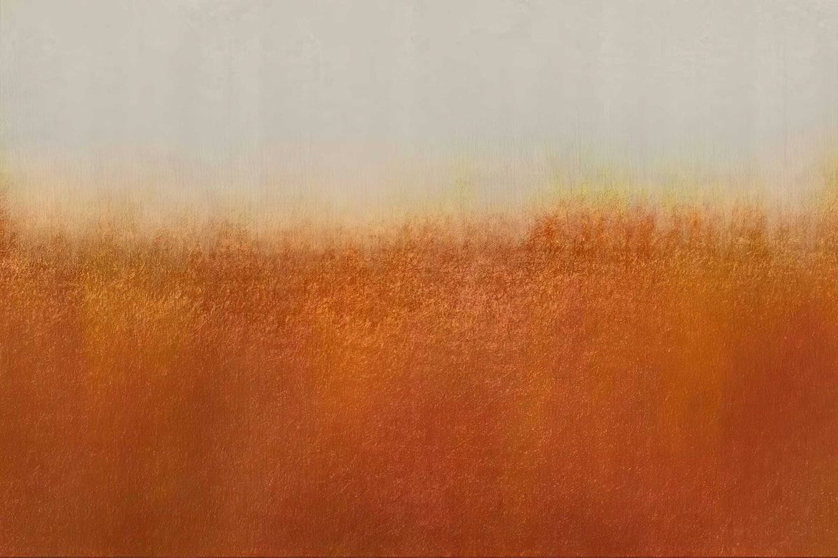 Rustic Orange Wall Mural in your room