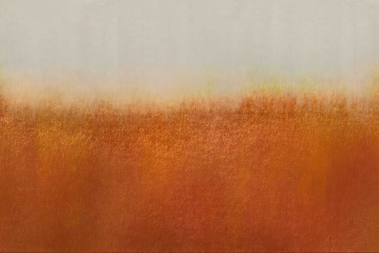 Rustic Orange Wall Mural