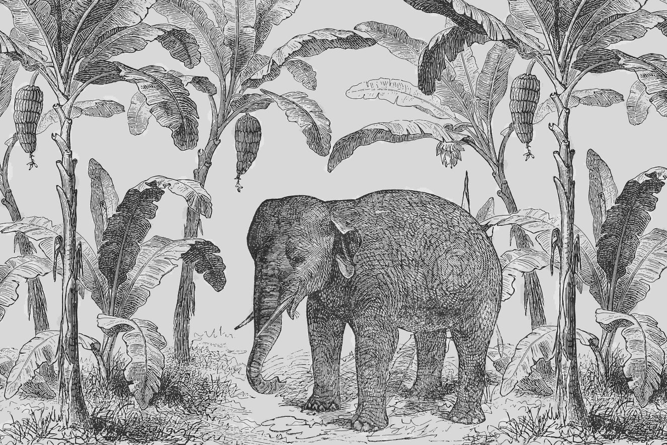 Vintage Elephant Wall Mural