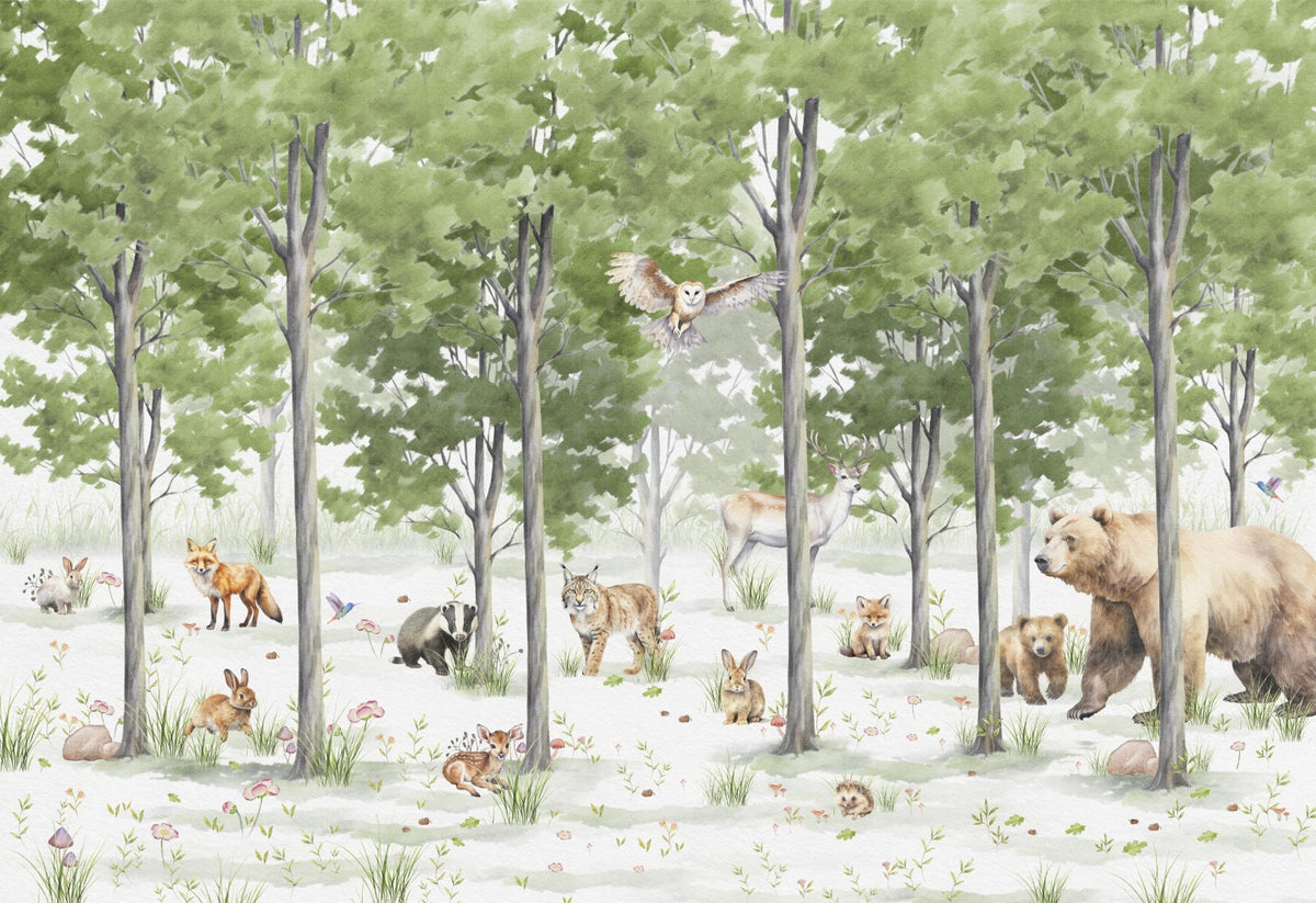 Enchanted Forest Wallpaper Mural in your room