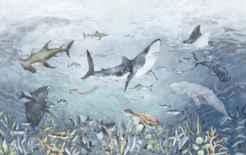Aquatic Life Wall Mural