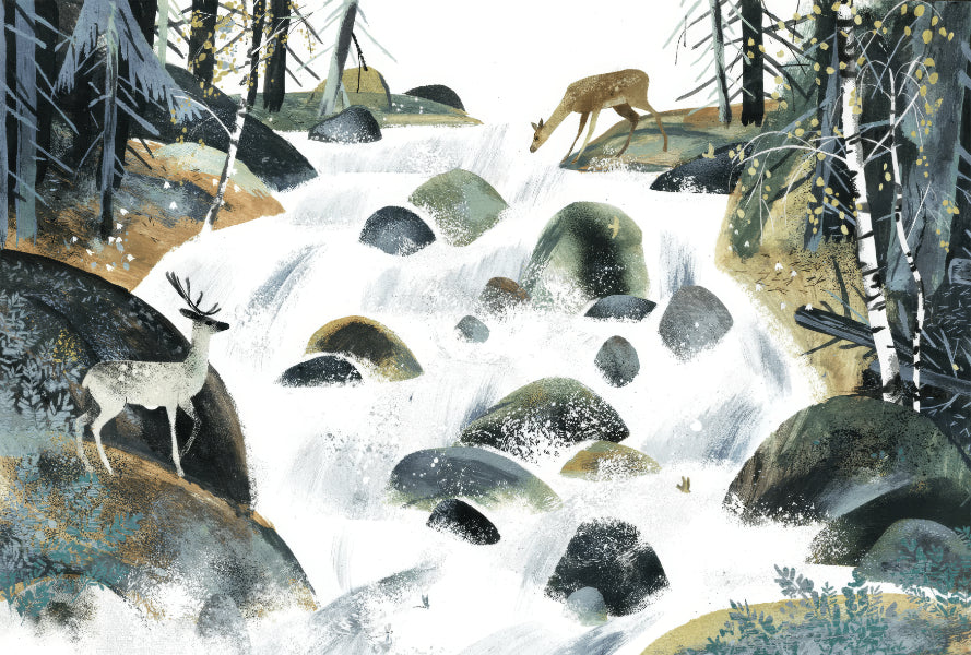 Wilderness Waterfall Wall Mural in your room