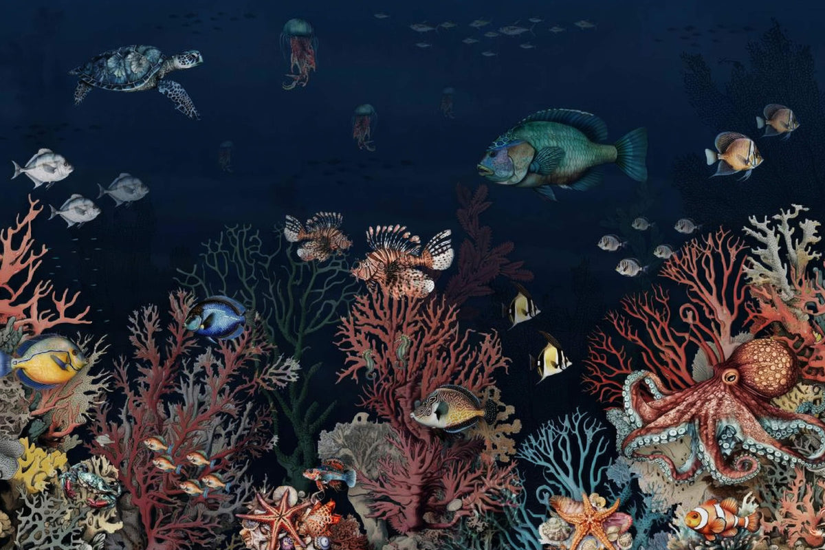 Coral Marvels Wall Mural in your room