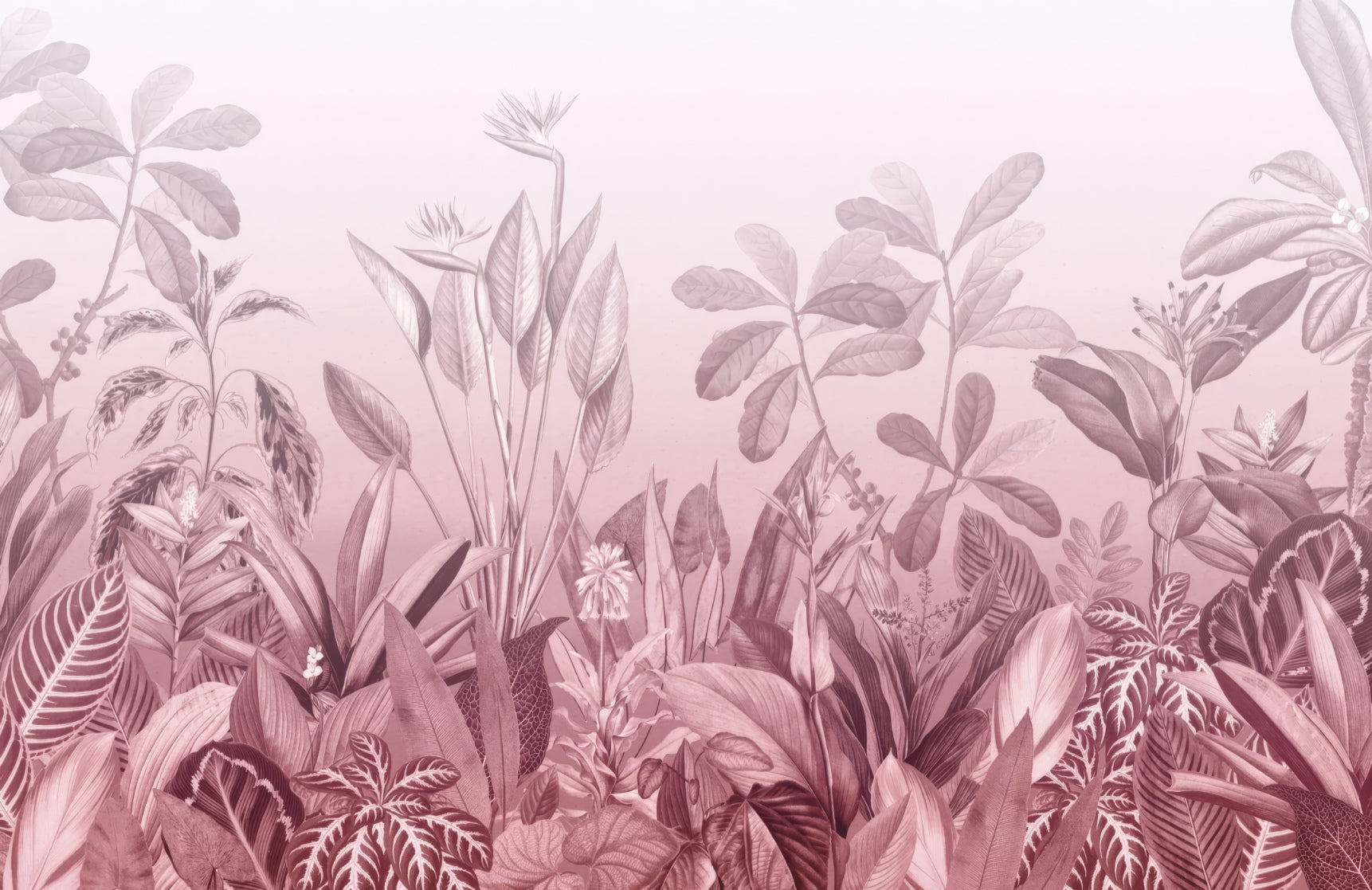 Pink Tropical Jungle Wall Mural