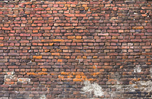 Rustic Charm Brick Mural
