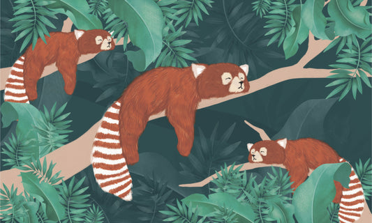 Red Panda Wall Mural