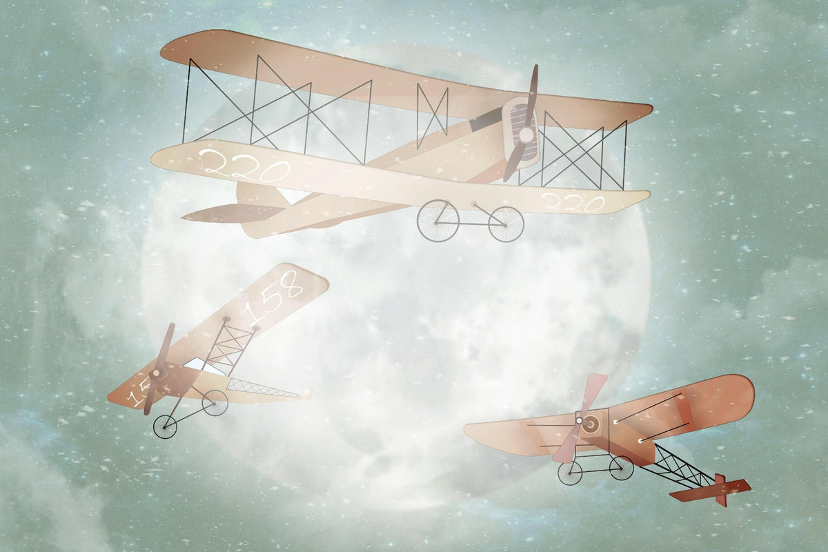 Cute Animals Aviators Wall Mural in your room